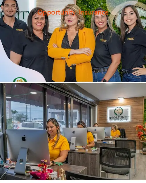 opportunity insurance fl