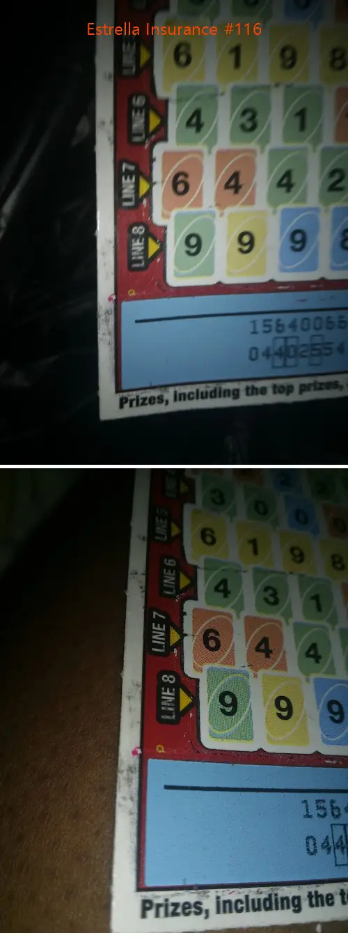 estrella insurance #116 fl