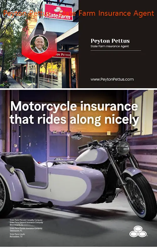 peyton pettus  state farm insurance agent ga 30655